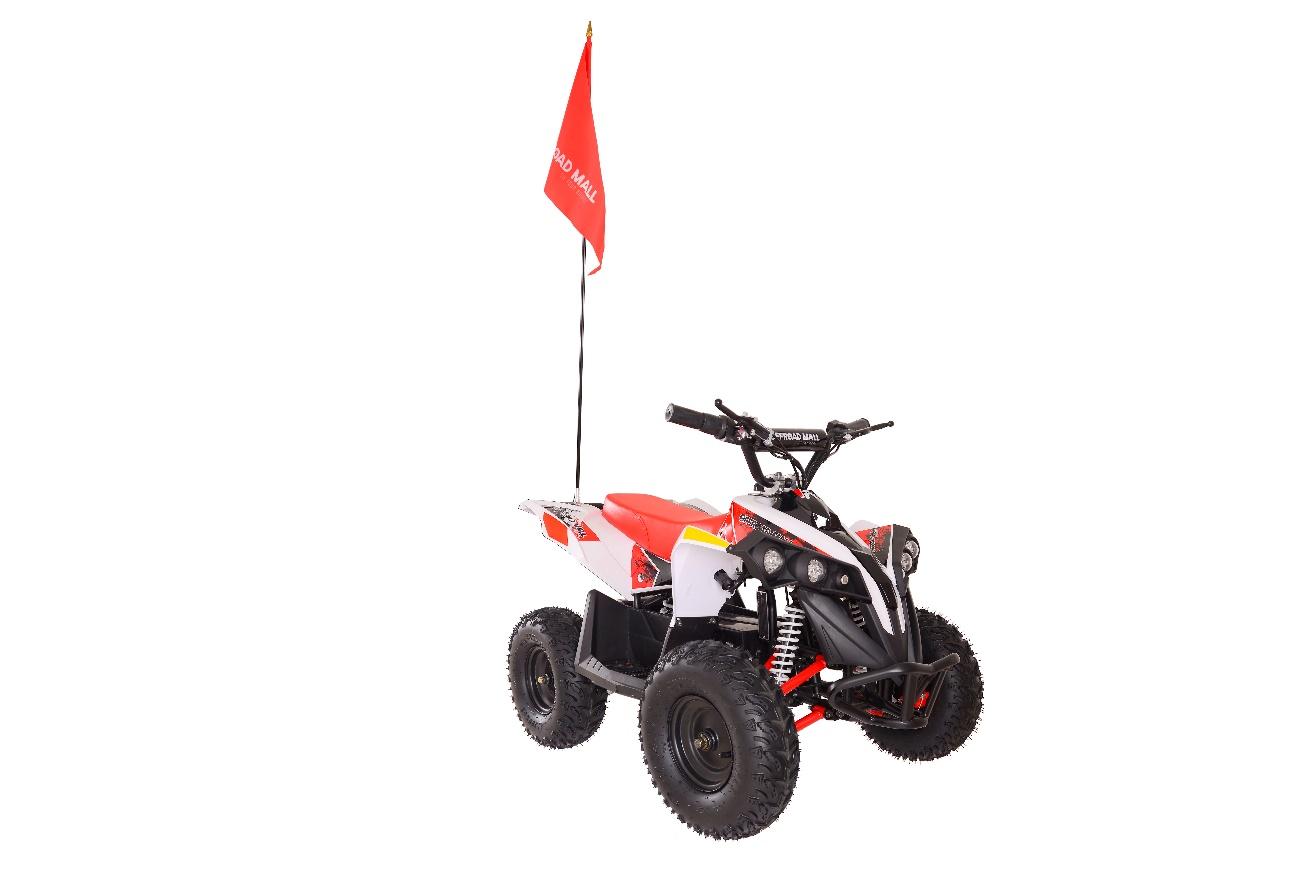 Recalled Offroad Mall E-Bully Youth ATV
