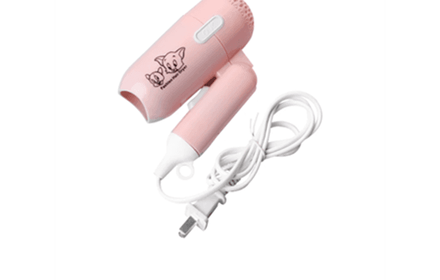 Recalled XZT Hair Dryer